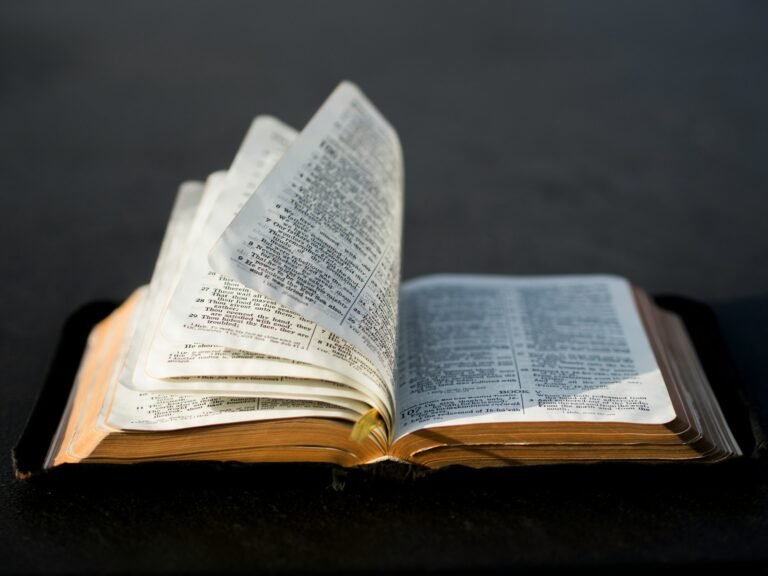 Six-Year Prison Term for Wichita Falls Woman Mailing Drugs Inside Bibles